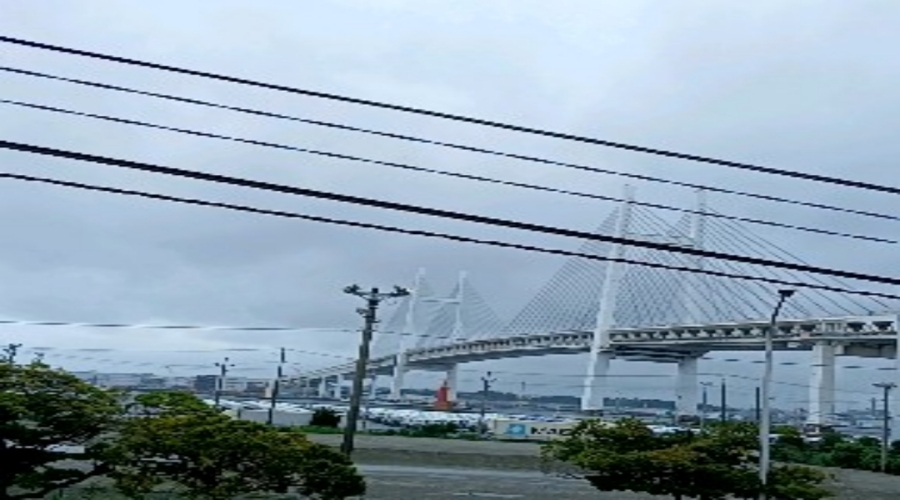 SHIN Vol.26 仕事辞めました!