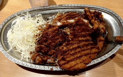 SHIN Vol.23「近況報告2025年4月度」