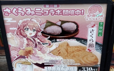 SHIN Vol.18 ホロ活!ホロ活!~東京駅のホロライブショップと鳴門鯛焼本舗、あとちょっとアイカツ~